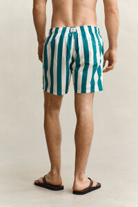 Block Striped Swim Shorts