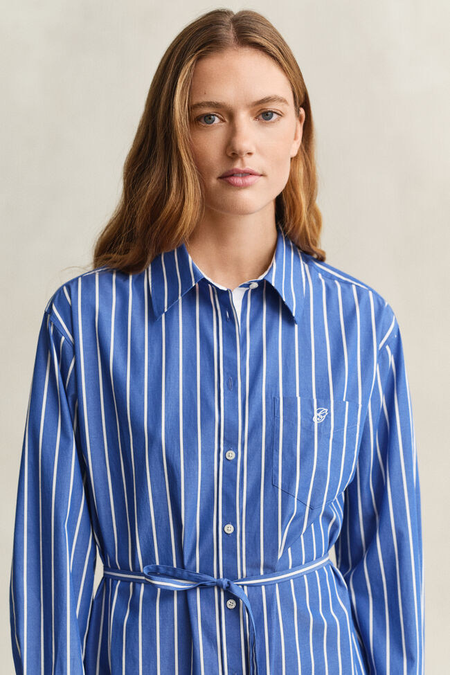 Striped Classic Poplin Dress