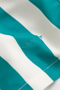 Block Striped Swim Shorts