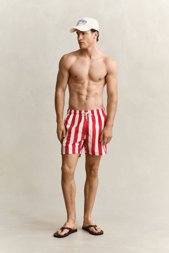 Block Striped Swim Shorts