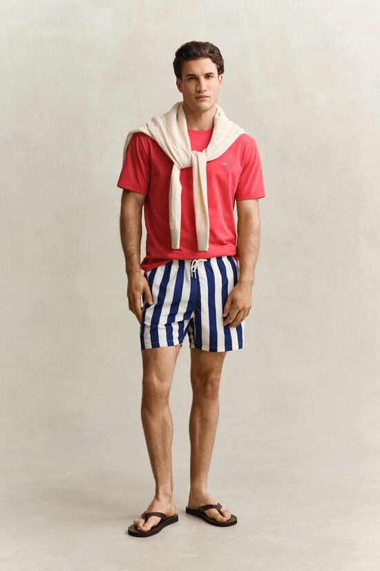 Block Striped Swim Shorts