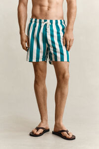 Block Striped Swim Shorts