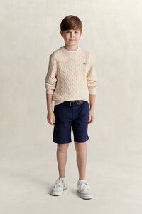 Teen Boys Shield Sweater
