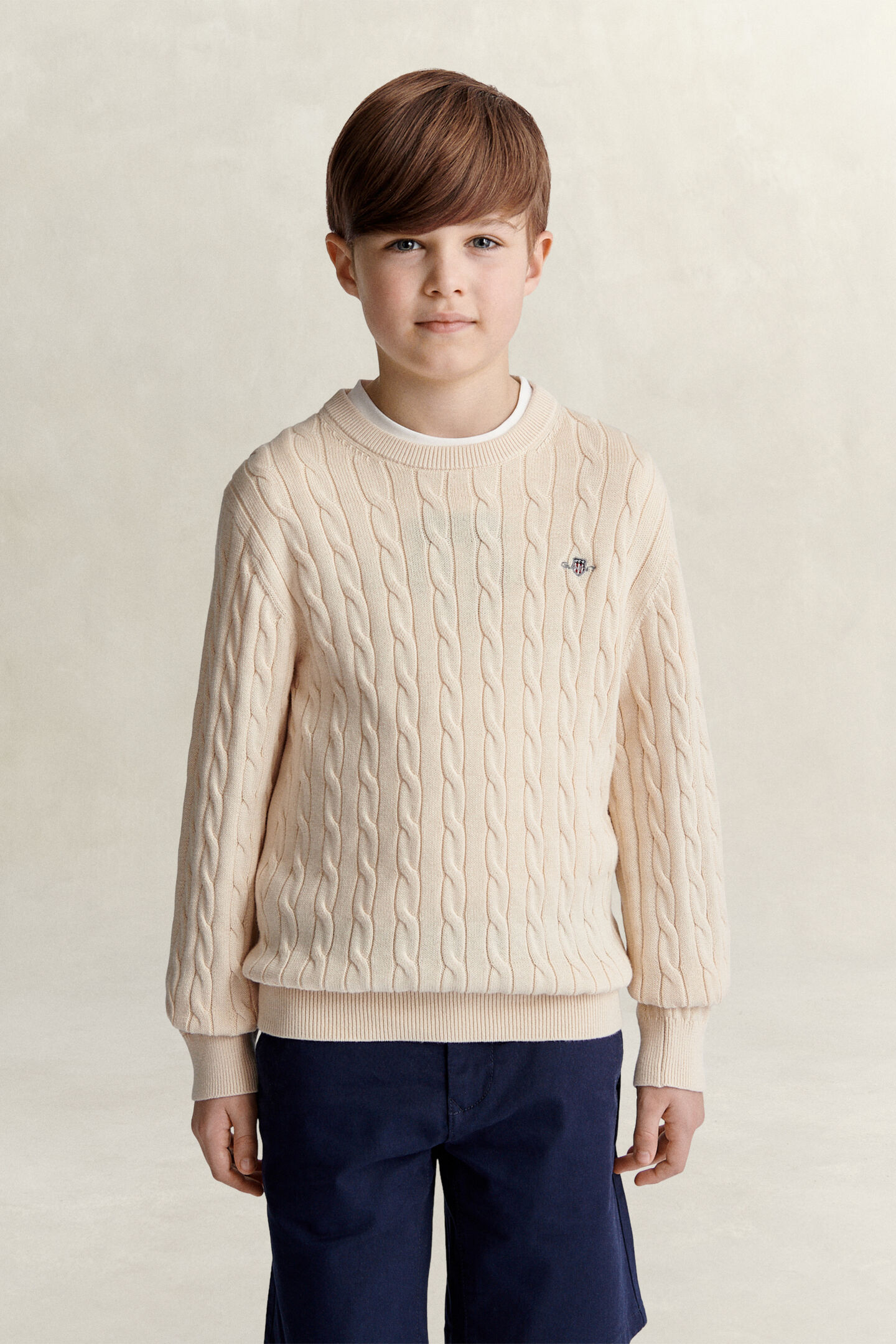 Teen Boys Shield Sweater