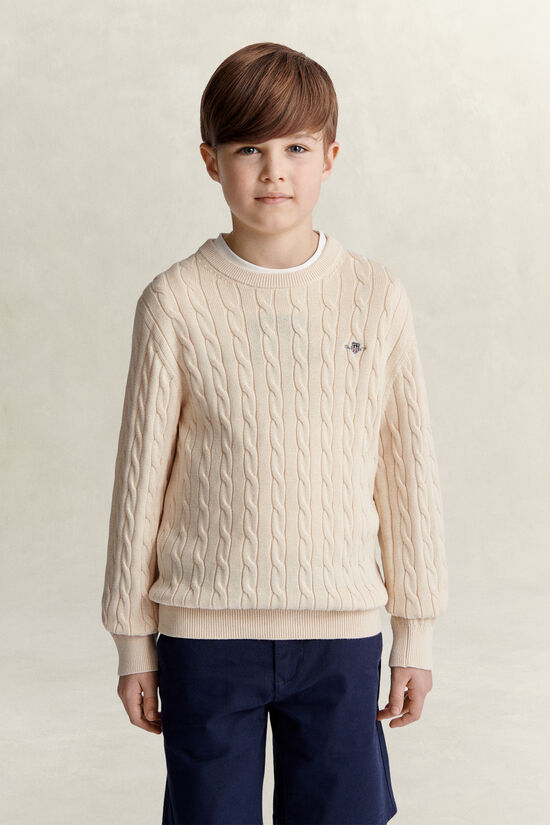 Teen Boys Shield Sweater