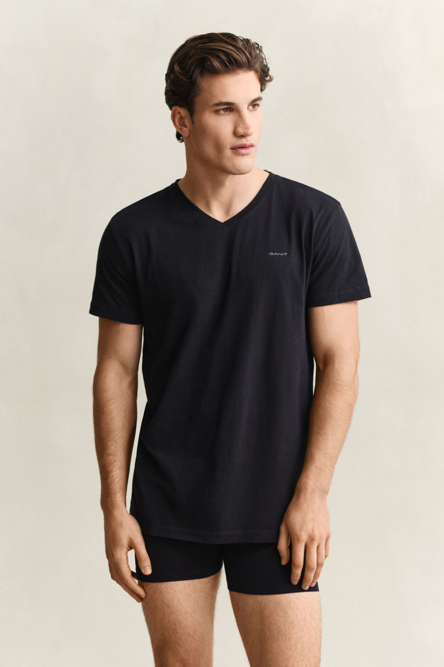 2-Pack V-Neck T-Shirts