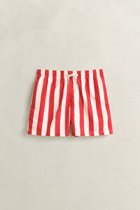 Block Striped Swim Shorts