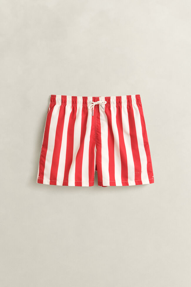 Block Striped Swim Shorts
