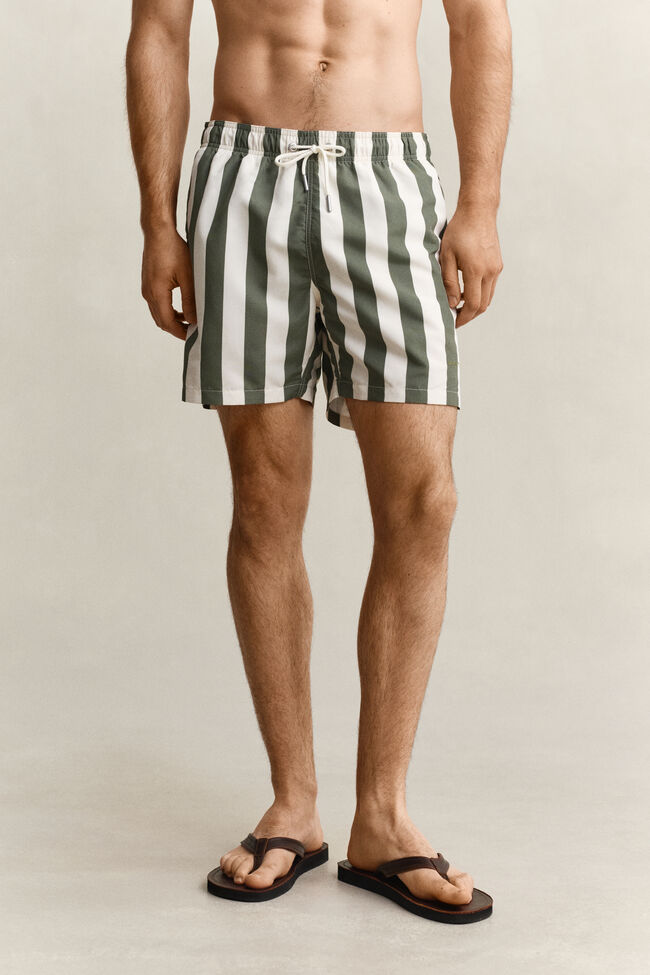Block Striped Swim Shorts