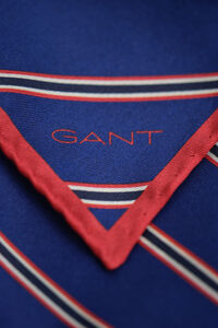 Striped Pocket Square