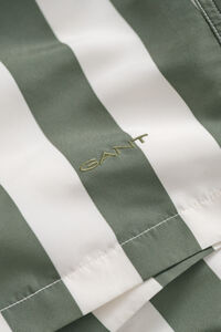 Block Striped Swim Shorts