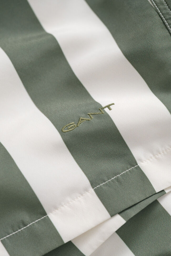 Block Striped Swim Shorts