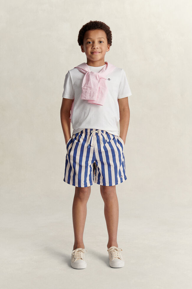 Teen Boys Striped Swimshorts