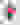 Color Blocked Polo Shirt