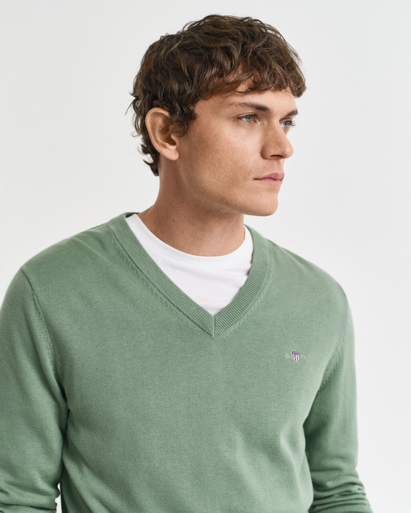 Classic Cotton V-Neck Sweater