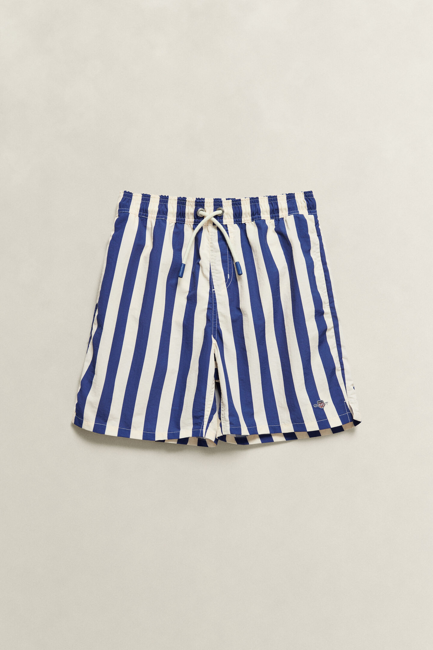 Teen Boys Striped Swimshorts