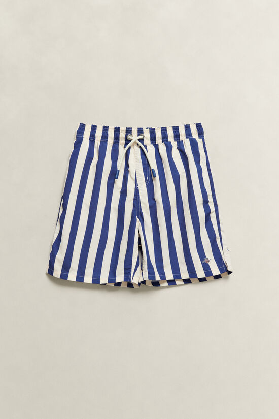 Teen Boys Striped Swimshorts