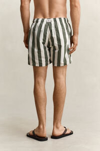 Block Striped Swim Shorts
