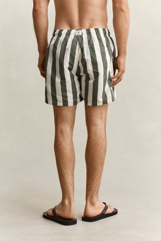 Block Striped Swim Shorts