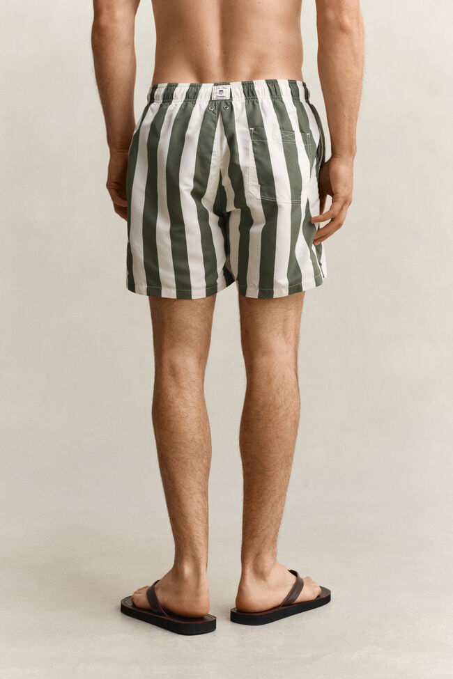 Block Striped Swim Shorts