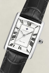 Rhode Island Heritage Watch