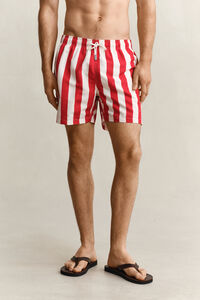 Block Striped Swim Shorts