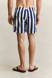 Block Striped Swim Shorts