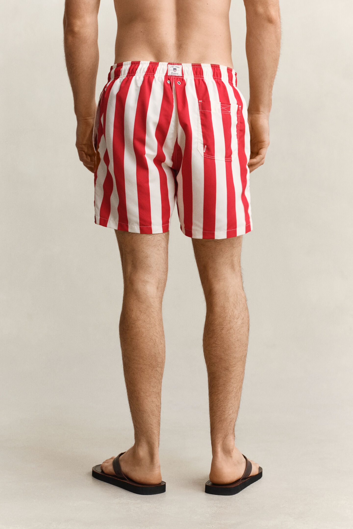 Block Striped Swim Shorts