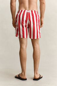 Block Striped Swim Shorts