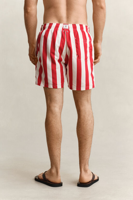 Block Striped Swim Shorts