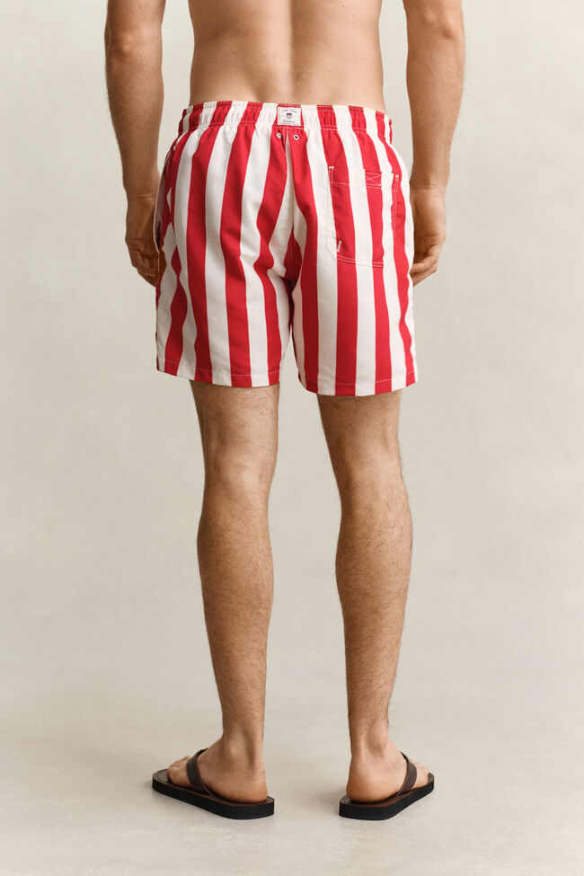 Block Striped Swim Shorts