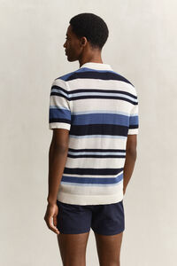 Striped Polo Sweater