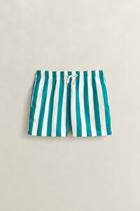 Block Striped Swim Shorts