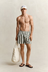 Block Striped Swim Shorts
