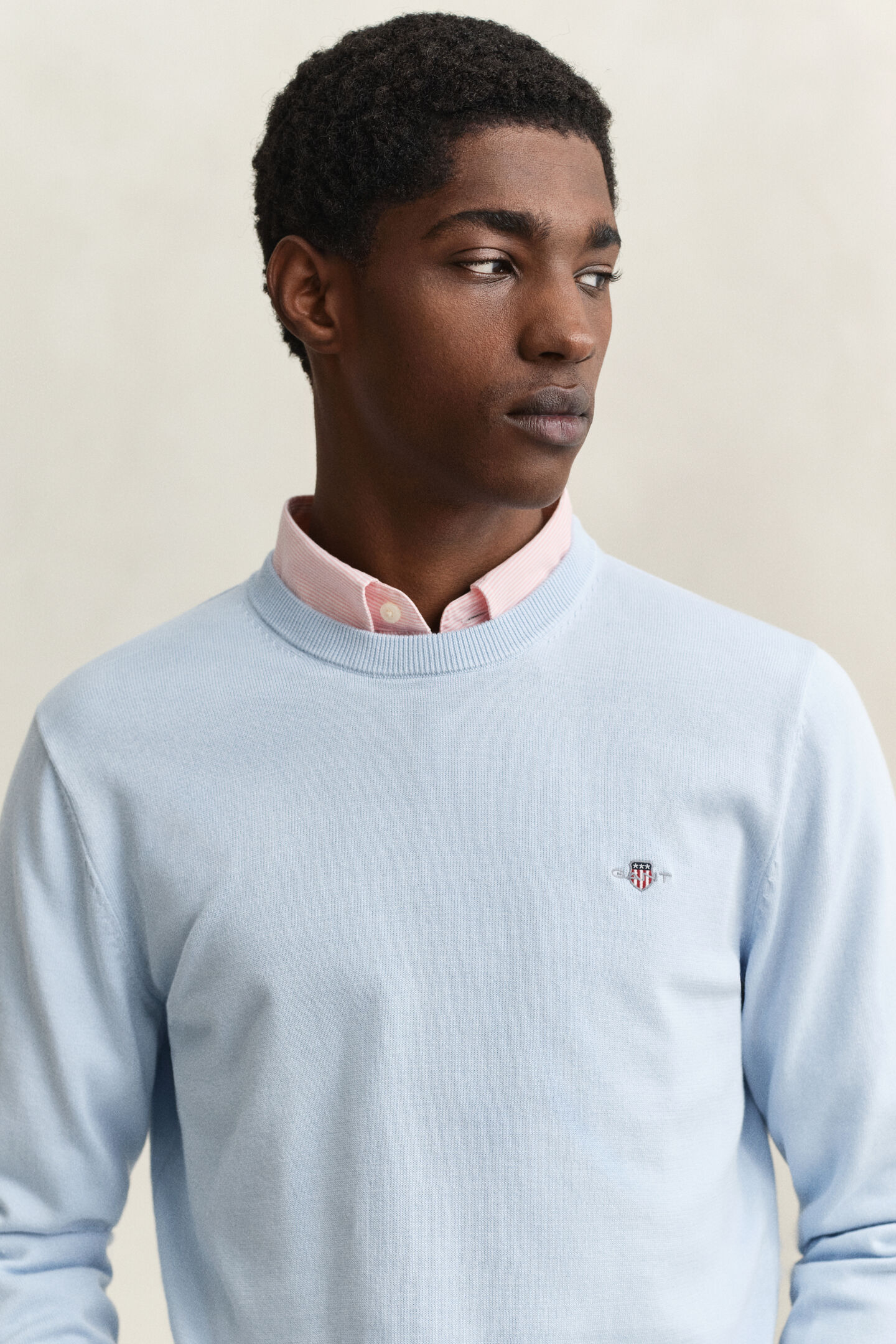 Cotton Crew Neck Sweater