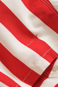 Block Striped Swim Shorts