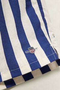 Teen Boys Striped Swimshorts