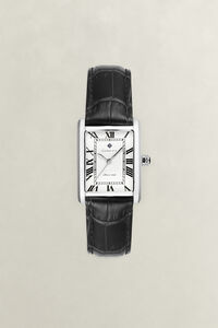 Rhode Island Heritage Watch