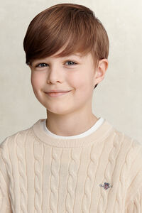 Teen Boys Shield Sweater