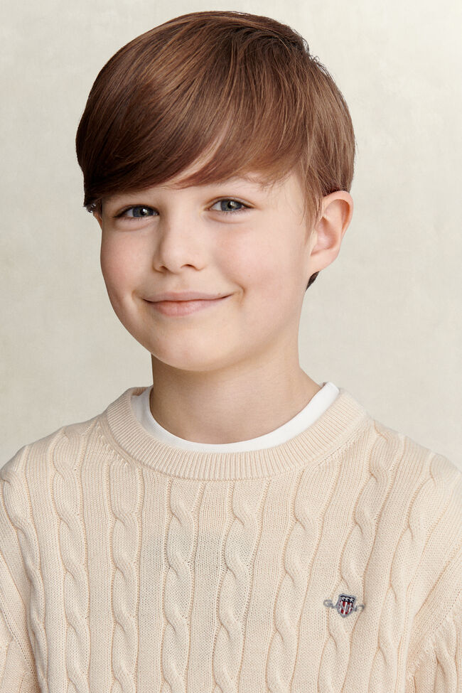 Teen Boys Shield Sweater