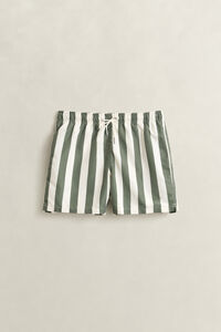 Block Striped Swim Shorts